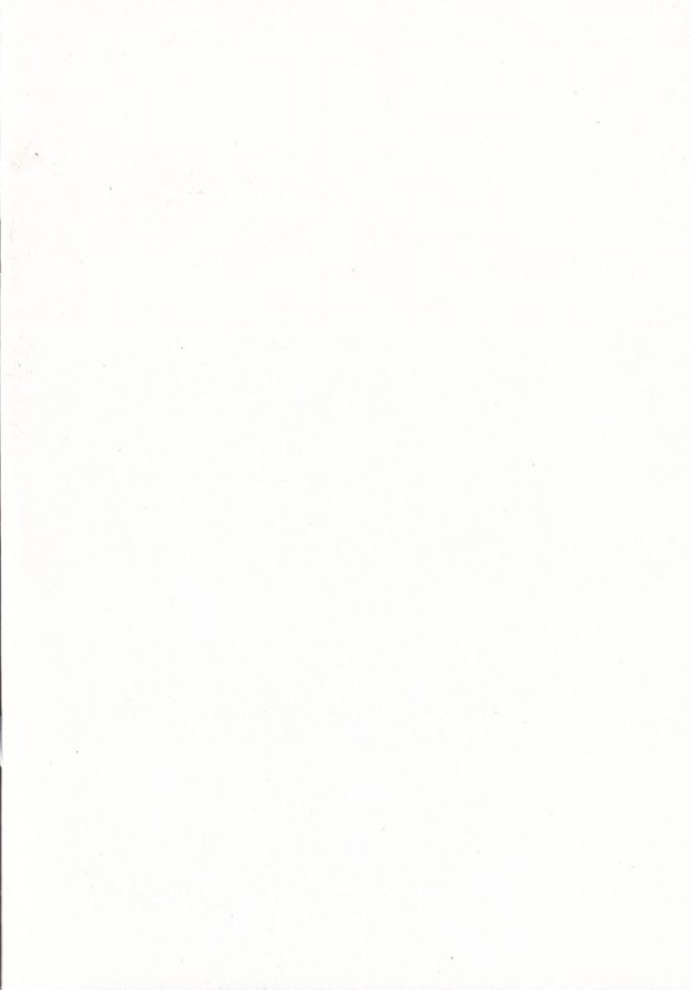 【エロ同人誌】しおん先生による貧乳ちっぱいなロリ少女の書き込まれたフルカラーイラスト集。【無料 エロ漫画】 (12)