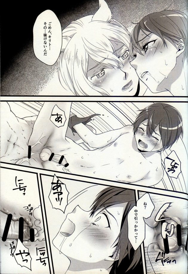 【エロ同人 SAO】結晶化されてしまったユージオに挨拶に来たキリトは彼が目覚めないことを悲しんでいた。【無料 エロ漫画】 (24)