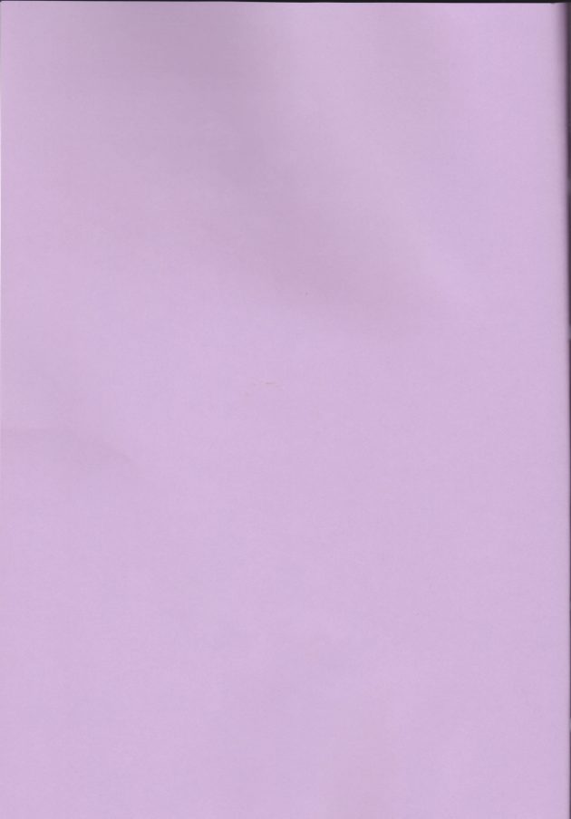 【エロ同人 はめふら】カタリナ・クラエスが様々な書物の中からいわゆる「エロ本」を見つけてしまうｗ【無料 エロ漫画】 (2)